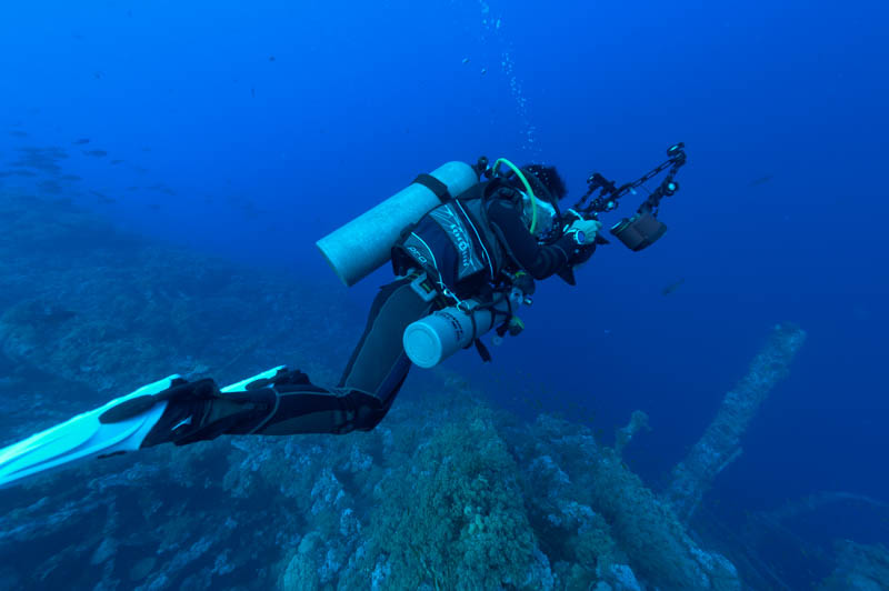 Agnès sur l'épave du Numidia autour des îles des Brothers en Mer Rouge.